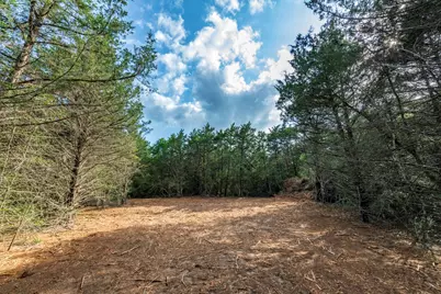 405 Vineyard View Trail - Lot 5, Carmine, TX 78932 - Photo 9