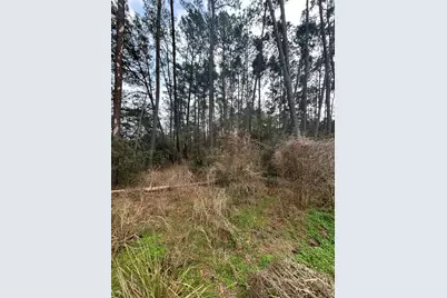 0 Tanglewood, Magnolia, TX 77534 - Photo 11