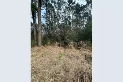 0 Tanglewood, Magnolia, TX 77534 - Photo 3