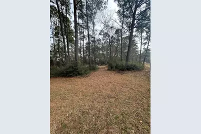 0 Tanglewood, Magnolia, TX 77534 - Photo 5