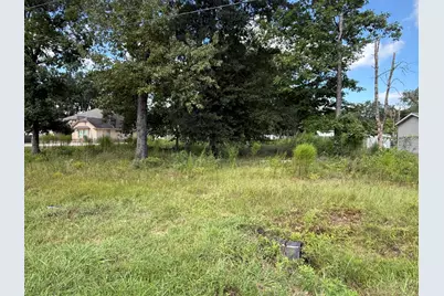 23923 Paper Wasp Lane, New Caney, TX 77357 - Photo 1