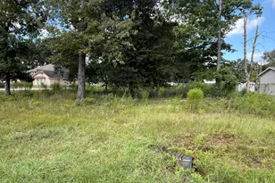 23923 Paper Wasp Ln, New Caney, TX 77357 - Photo 1