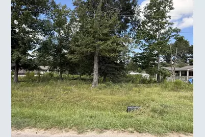 23923 Paper Wasp Lane, New Caney, TX 77357 - Photo 3