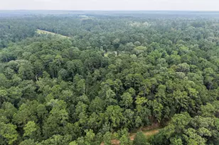 577 Winding River Rd, Oakhurst, TX 77364 - Photo 39
