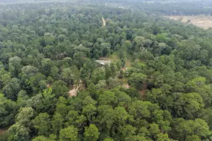 577 Winding River Rd, Oakhurst, TX 77364 - Photo 35