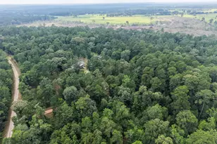 577 Winding River Rd, Oakhurst, TX 77364 - Photo 43