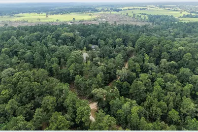 577 Winding River Road, Oakhurst, TX 77364 - Photo 41