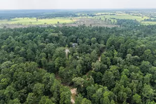 577 Winding River Rd, Oakhurst, TX 77364 - Photo 41