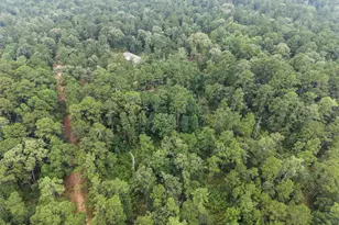 577 Winding River Rd, Oakhurst, TX 77364 - Photo 29