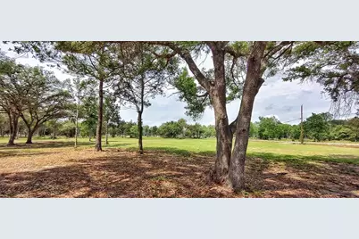 3724 County Road 326, Alvin, TX 77511 - Photo 5