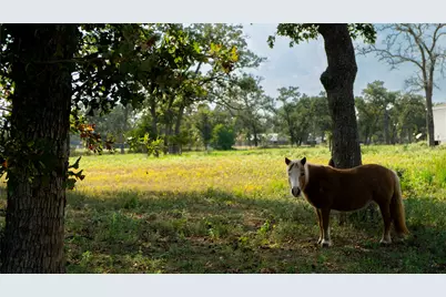23888 Laneview Road, Hempstead, TX 77445 - Photo 35