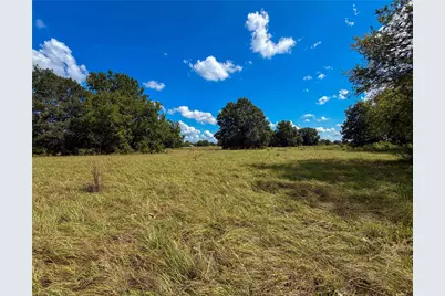 2085 County Road 3620, Lovelady, TX 75851 - Photo 9