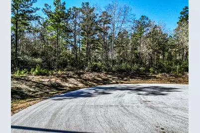 Lot 42 Pyrite Court, Huntsville, TX 77340 - Photo 3