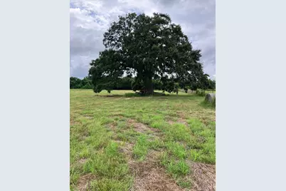 728 County Road 164, Boling, TX 77420 - Photo 5