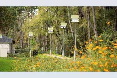 14818 Whistling Duck Lane, Magnolia, TX 77354 - Photo 5