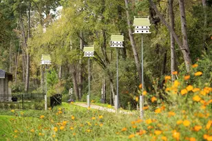 14818 Whistling Duck Ln, Magnolia, TX 77354 - Photo 5