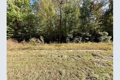 198 Bear Track Trail, Livingston, TX 77351 - Photo 1