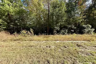 198 Bear Track Trail, Livingston, TX 77351 - Photo 1