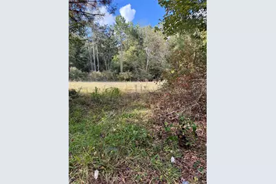 198 Bear Track Trail, Livingston, TX 77351 - Photo 5