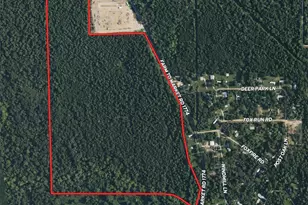 18510 FM 1774, Plantersville, TX 77363 - Photo 1