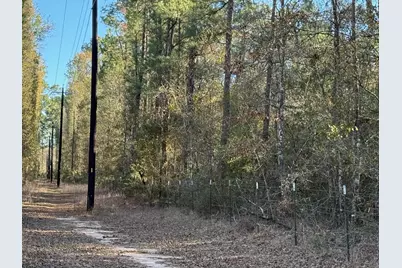 18510 Fm-1774, Plantersville, TX 77363 - Photo 7