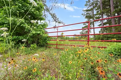 4931 Hwy 150 W, New Waverly, TX 77358 - Photo 5
