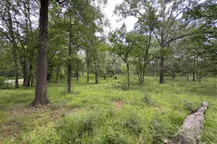 947 Co Rd 2850, Cleveland, TX 77327 - Photo 5