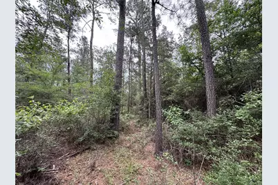 T4 Round Prairie Road, Huntsville, TX 77320 - Photo 3