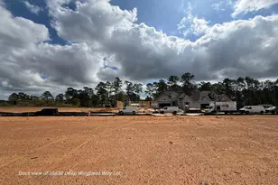 16852 Deep Wingbeat Way, Magnolia, TX 77354 - Photo 9