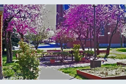 1501 S Meridian St, Indianapolis, IN 46225 - Photo 5