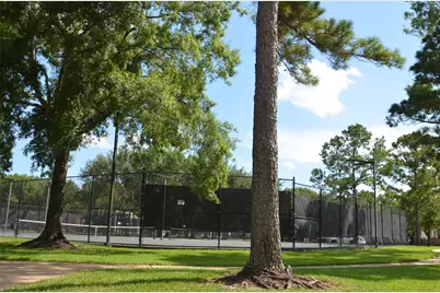 13802 Rosebranch Court, Houston, TX 77059 - Photo 19