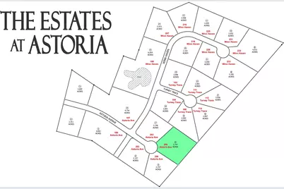 209 Astoria Avenue, Round Top, TX 78954 - Photo 1