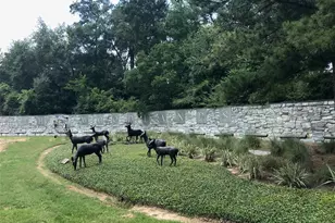 15 Patina Pines Pl, The Woodlands, TX 77381 - Photo 33