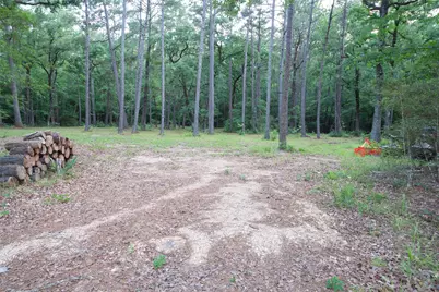 Tbd Fm 980 N, Point Blank, TX 77364 - Photo 7