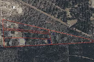 Tract 1-000 Tbd Blackburn Dr, Splendora, TX 77372 - Photo 3