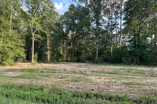 Tract 1-000 Tbd Blackburn Dr, Splendora, TX 77372 - Photo 5