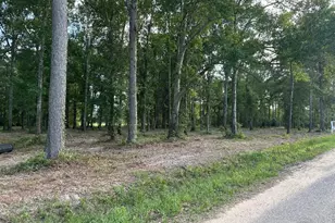 Tract 1-000 Tbd Blackburn Dr, Splendora, TX 77372 - Photo 1