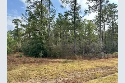 15886 Wood Grove Way, Willis, TX 77378 - Photo 3