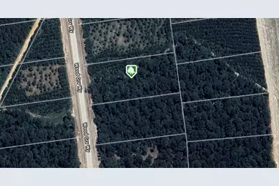15886 Wood Grove Way, Willis, TX 77378 - Photo 11