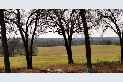 17 Ac St Beulah Chapel Rd, Montgomery, TX 77316 - Photo 7