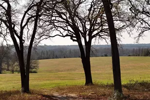 17 Ac St Beulah Chapel Rd, Montgomery, TX 77316 - Photo 7