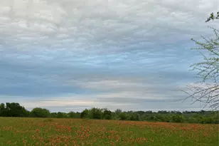 17 Ac St Beulah Chapel Rd, Montgomery, TX 77316 - Photo 29