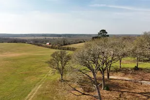 17 Ac St Beulah Chapel Rd, Montgomery, TX 77316 - Photo 9