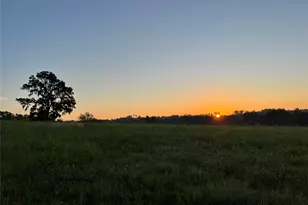 17 Ac St Beulah Chapel Rd, Montgomery, TX 77316 - Photo 25