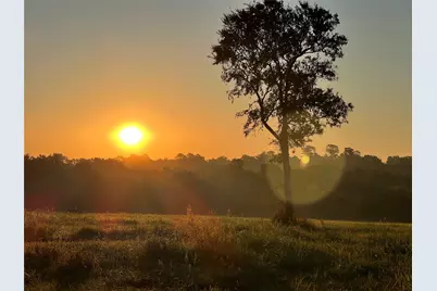 17 Ac St Beulah Chapel Rd, Montgomery, TX 77316 - Photo 3