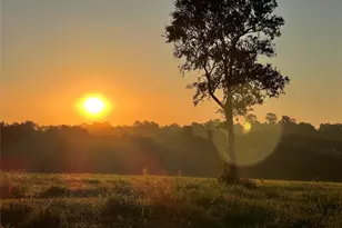 17 Ac St Beulah Chapel Rd, Montgomery, TX 77316 - Photo 3