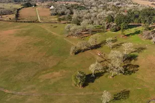 17 Ac St Beulah Chapel Rd, Montgomery, TX 77316 - Photo 11