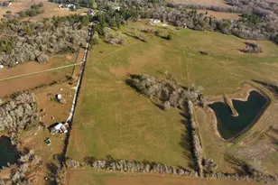 17 Ac St Beulah Chapel Rd, Montgomery, TX 77316 - Photo 17