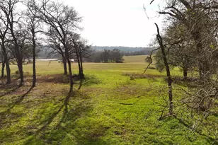 17 Ac St Beulah Chapel Rd, Montgomery, TX 77316 - Photo 15