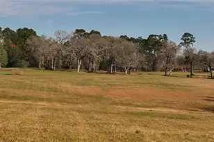 17 Ac St Beulah Chapel Rd, Montgomery, TX 77316 - Photo 19